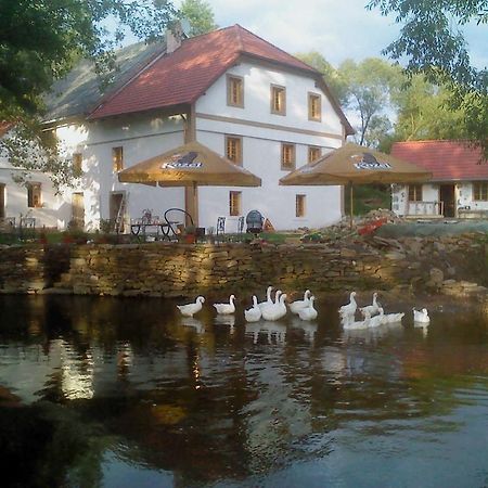 Biofarma Dolejsi Mlyn Villa Kamberk Luaran gambar