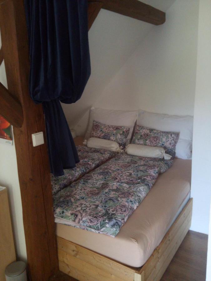 Biofarma Dolejsi Mlyn Villa Kamberk Luaran gambar