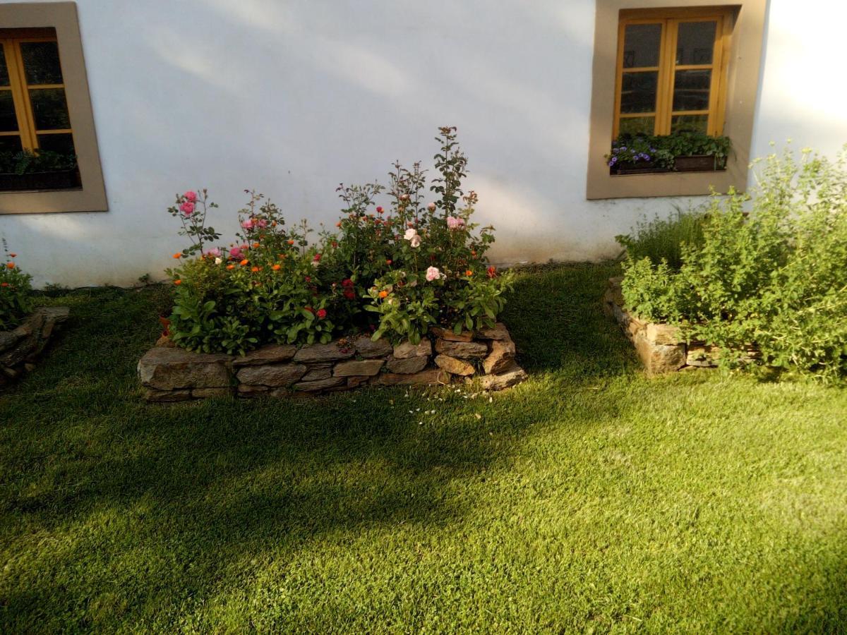 Biofarma Dolejsi Mlyn Villa Kamberk Luaran gambar
