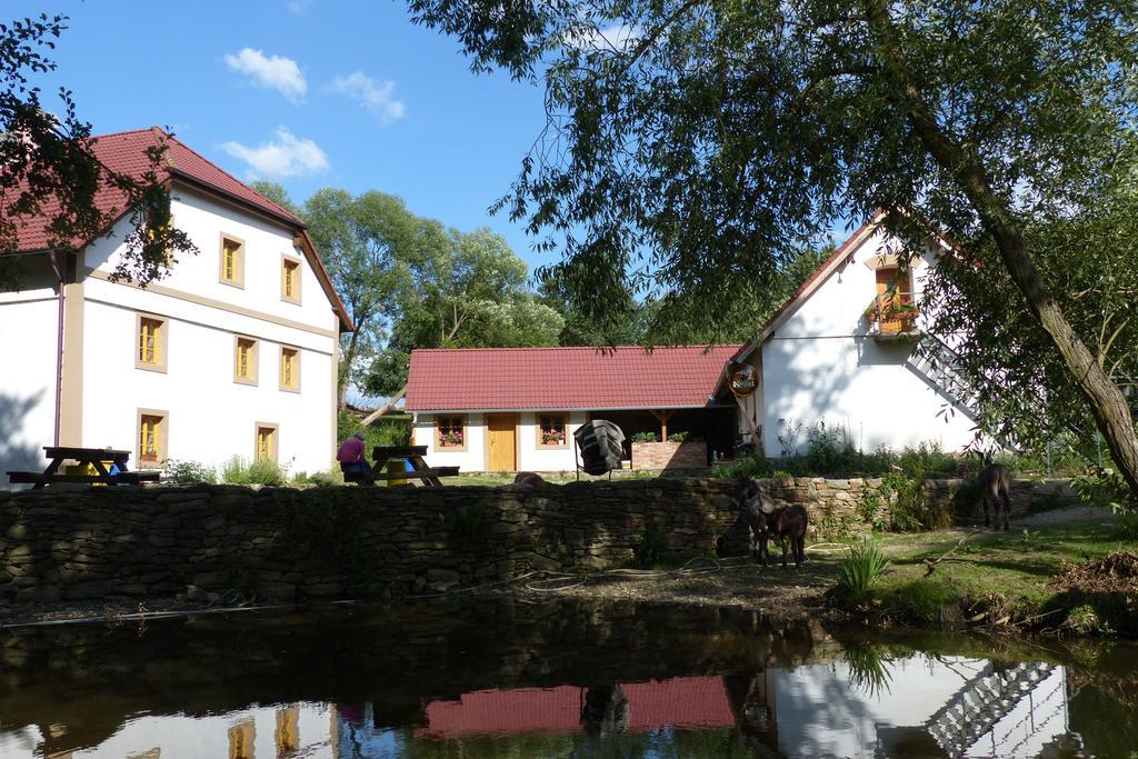 Biofarma Dolejsi Mlyn Villa Kamberk Luaran gambar