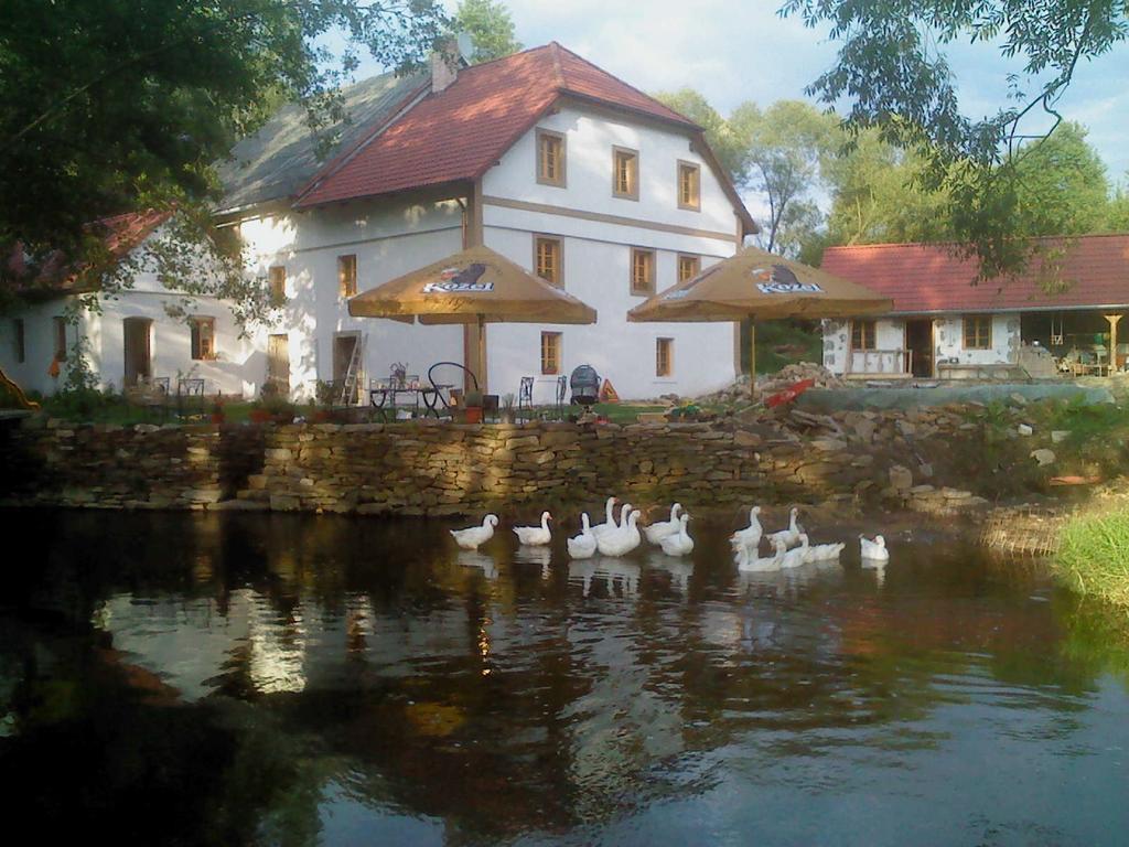 Biofarma Dolejsi Mlyn Villa Kamberk Luaran gambar