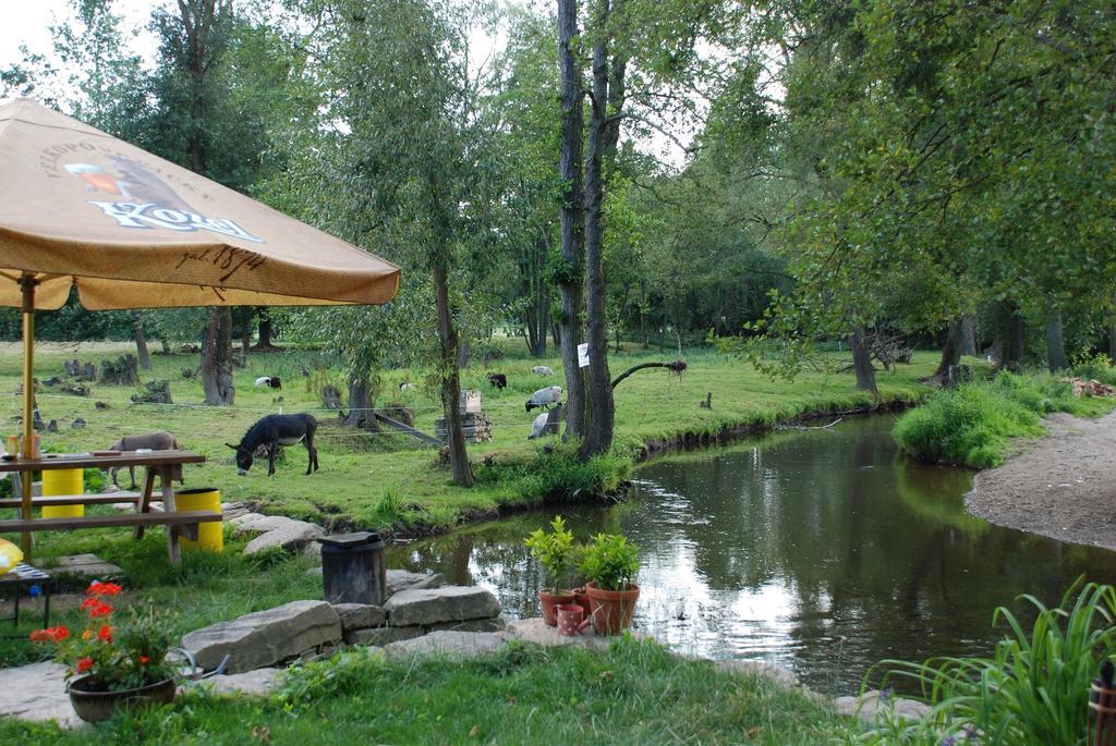 Biofarma Dolejsi Mlyn Villa Kamberk Luaran gambar