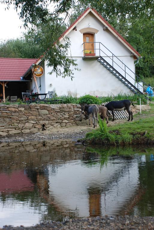 Biofarma Dolejsi Mlyn Villa Kamberk Luaran gambar